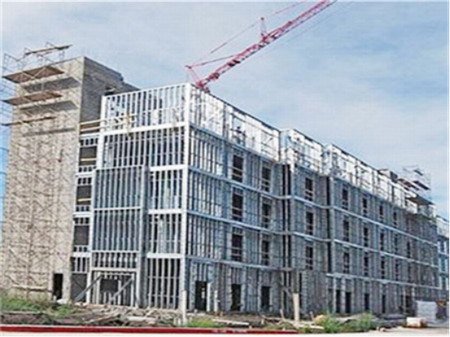 多重目标与价值追求